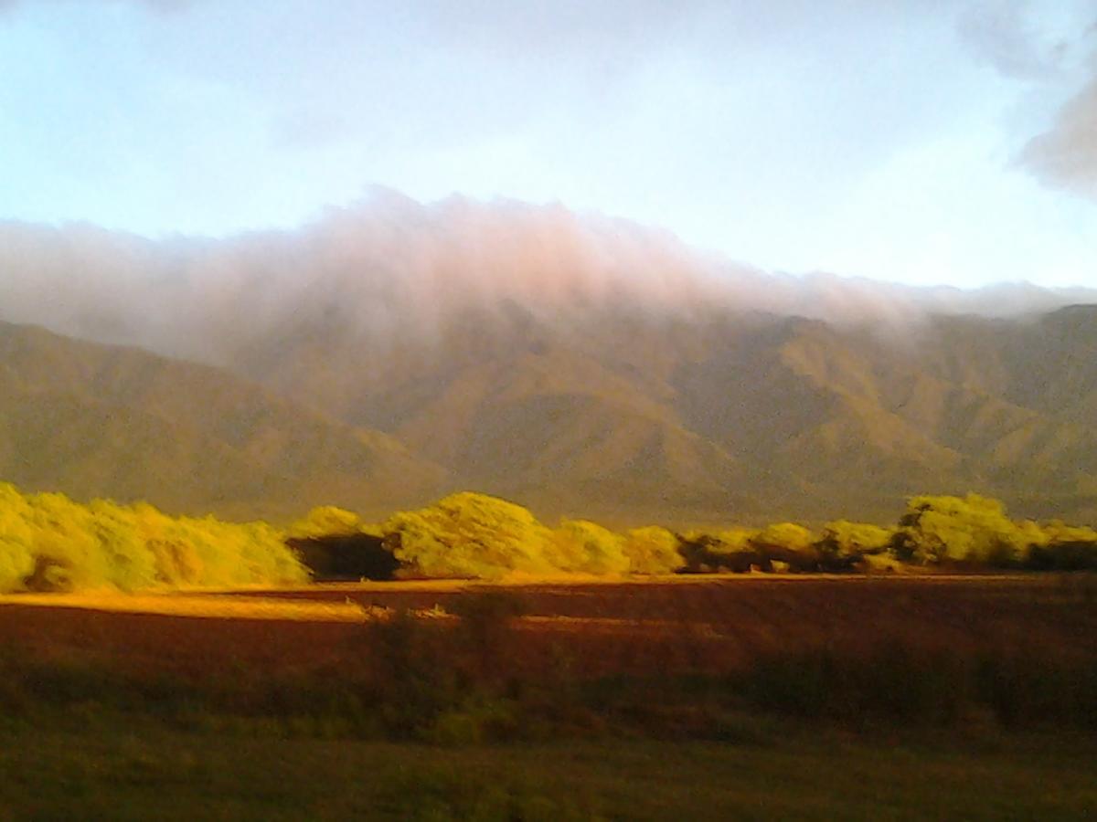 فيلا فيلا لاس روساسفي Complejo Valle De Las Rosas المظهر الخارجي الصورة
